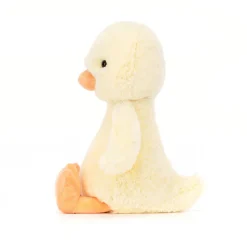 Bashful Duckling