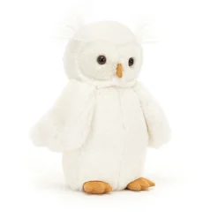 Bashful Owl