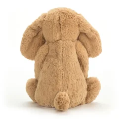 Bashful Toffee Puppy