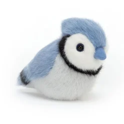 Birdling Blue Jay