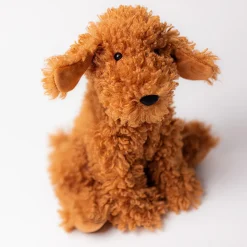 Cooper Doodle Dog