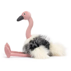 Ramonda Ostrich