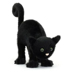 Spookipaws Cat